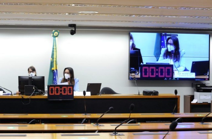 Rejane Dias presidiu a audiência pública virtual e defendeu ações afirmativas - (Foto: Gustavo Sales/Câmara dos Deputados)