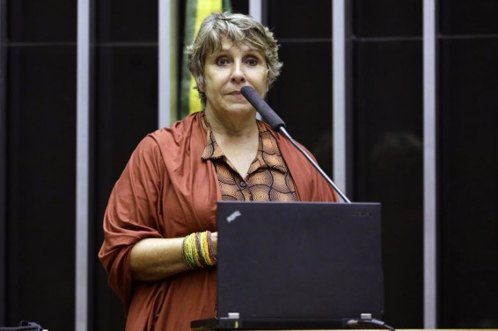Kokay: “É fundamental que o programa seja tornado permanente” - (Foto: Najara Araujo/Câmara dos Deputados)