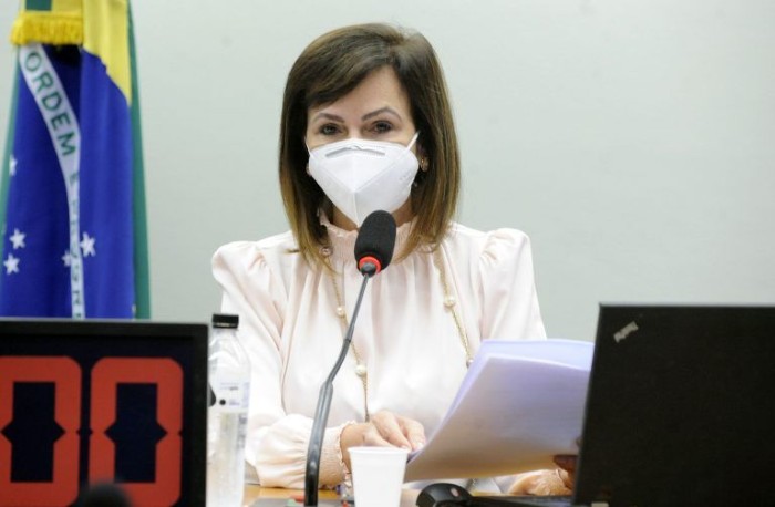 Dorinha Seabra Rezende apresentou um substitutivo ao projeto de lei - (Foto: Gustavo Sales/Câmara dos Deputados)