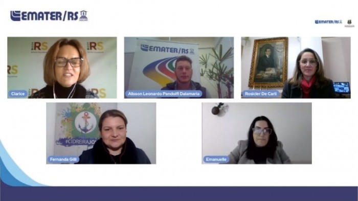 Seminário Estadual do Bolsa Juventude Rural, realizado em formato online, reuniu mais de 300 pessoas - Foto: Reprodução