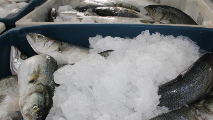 Associações comunitárias, creches e asilos da capital e região metropolitana receberam 1.980 kg de peixes - Foto: Divulgação Ceasa