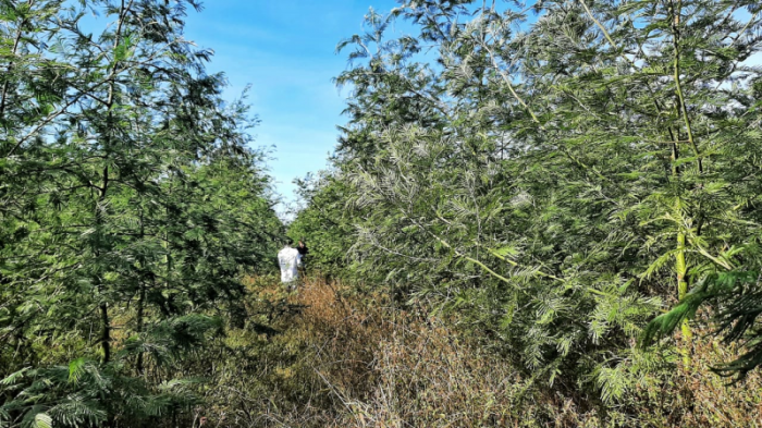 - - Foto: Fernando Dias / Seapdr