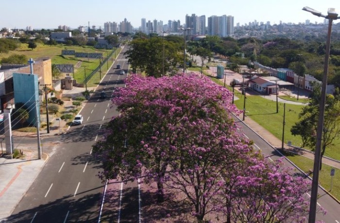 Domingo tem previsão de queda de temperaturas e tempo estável em MS