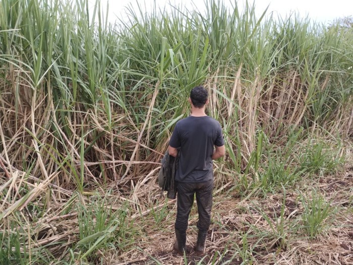 Homem que estuprava a própria filha foi preso pela Polícia Civil em Fátima do Sul