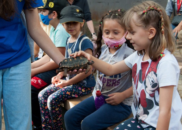 Dia das Crianças no Zoo terá pintura de rosto e brinquedos infláveis