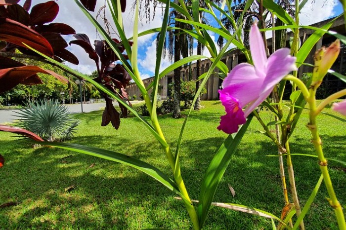 Agenda: Audiência pública, reuniões e sessões plenárias movimentam a semana