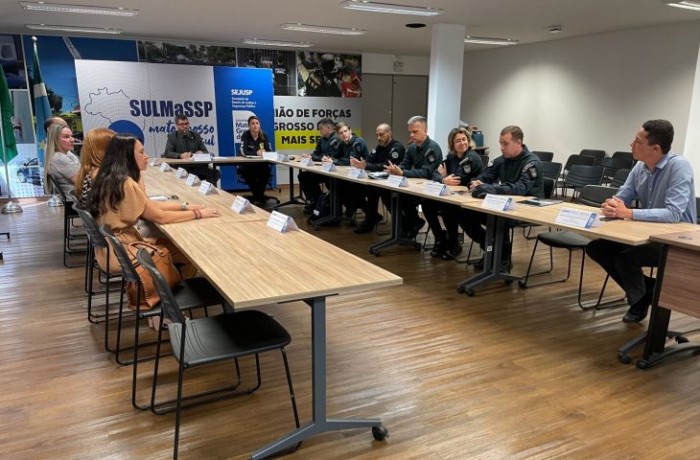 MS cria grupos de trabalho com mais 4 estados para discutir legislação e formas de combate ao crime
