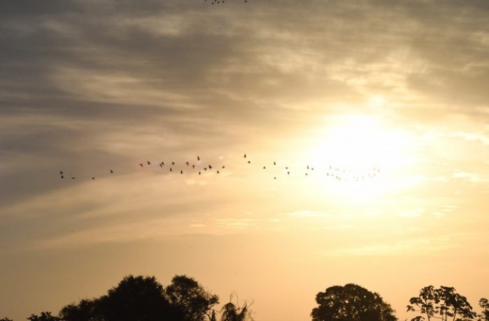 Previsão para esta quarta-feira é de sol e temperaturas podem atingir 40°C em MS