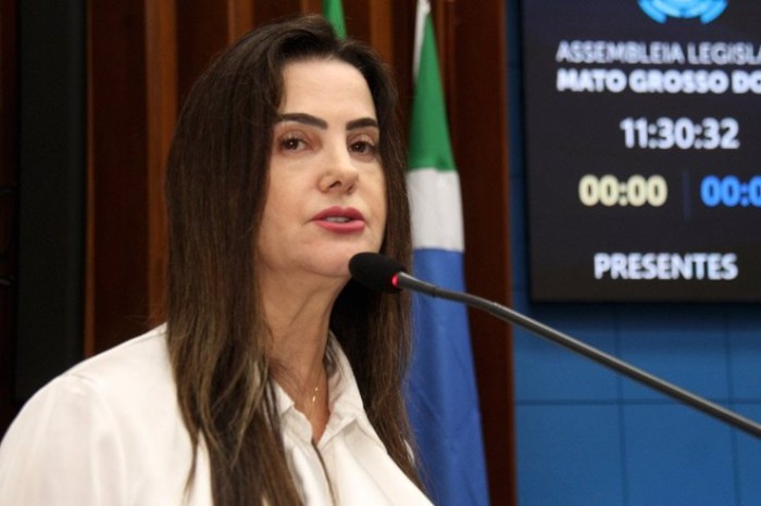 Deputada parabeniza dentistas e fala sobre o Concurso de Redação da ALEMS