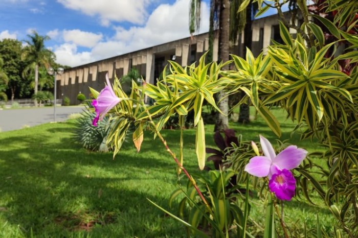Agenda: Homenagens, seminário, reunião e sessões marcam agenda da ALEMS