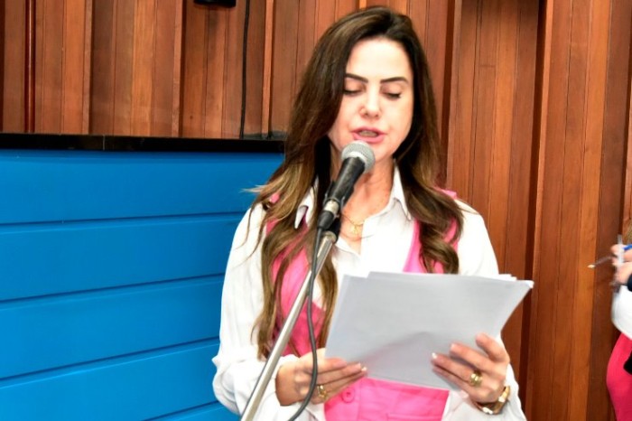 Lei: Projeto Som e Vida é declarado de Utilidade Pública Estadual