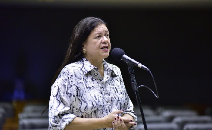 Comissão aprova ampliação de prazos para conclusão de mestrado ou doutorado em caso de parto ou adoção