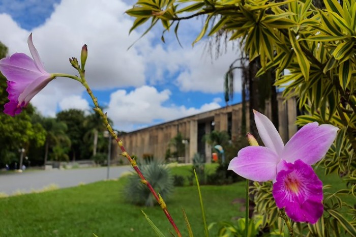 Agenda: Homenagem aos músicos, sessões, reunião e visita são destaques da semana