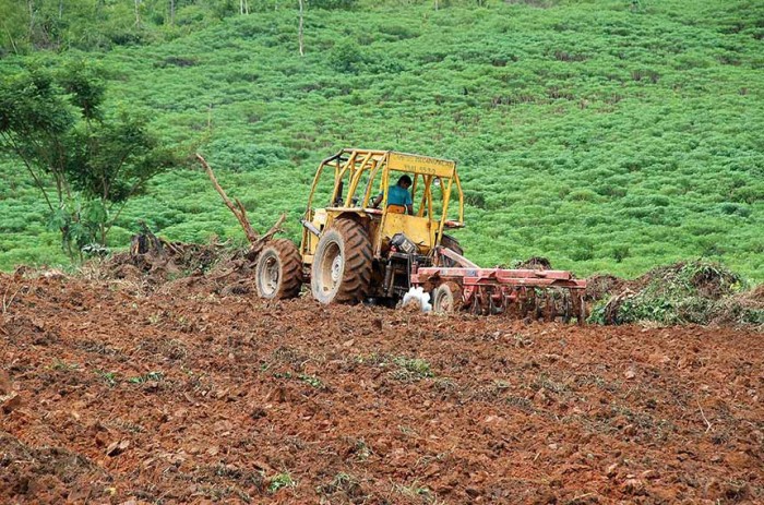 Vetado artigo que ampliava regularização de terras na Amazônia