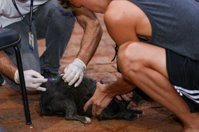 Ação inicia às 17 horas e segue até às 21 horas em locais distintos - Fotógrafo:Regiane Rocha/Secom Palmas
