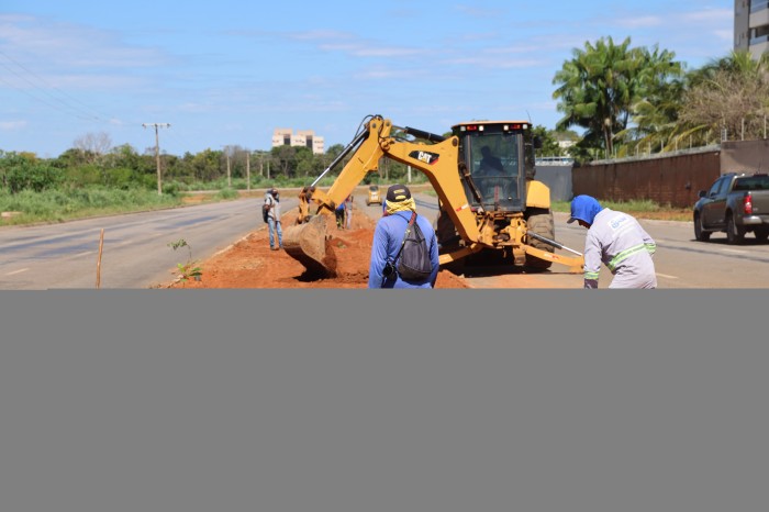 Máquina retroescavadeira abre covas para plantar mudas nativas do Cerrado - Fotógrafo:Lucas Menezes / Secom Palmas