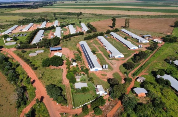 Força do Agro: Frango Vida renova a avicultura em Sidrolândia e garante a modernização da atividade na região