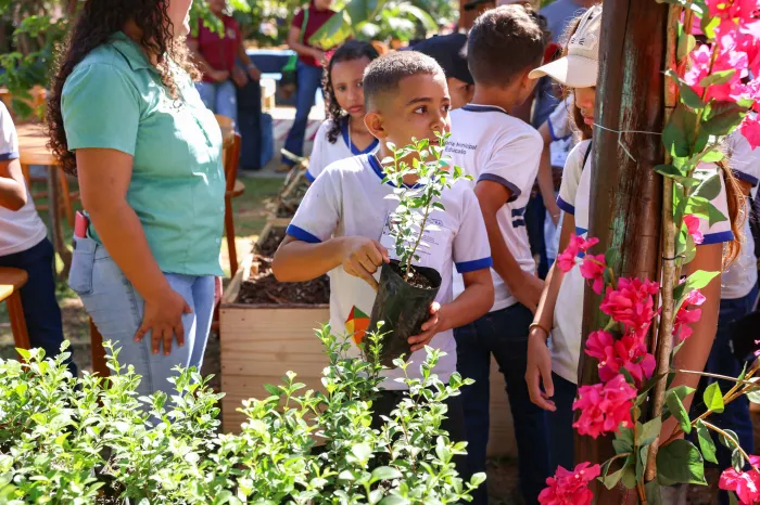 Estande da FMA na Agrotins aposta em doação de mudas e palestras ilustrativas de educação ambiental