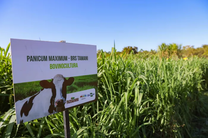 Fazendinha do Calor Humano segue aberta aos pequenos produtores mesmo com o fim da Agrotins 2024