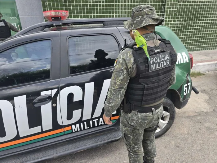 Foto: Reprodução/Secom Ceará