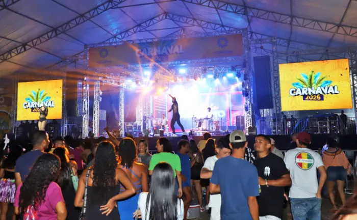 Carnaval de Palmas impulsiona economia e garante lazer aos foliões