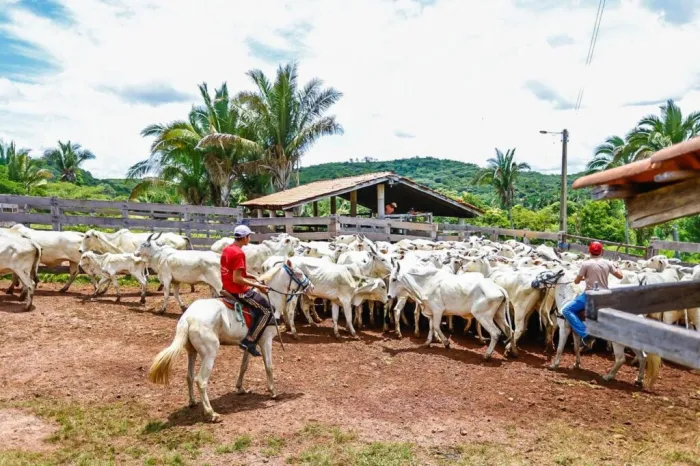 Foto: Reprodução/Secom Piauí