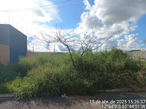 Foto: Reprodução/Prefeitura de Sorriso - MT