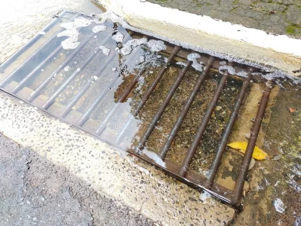 Foto: Reprodução/Câmara de Sorriso - MT