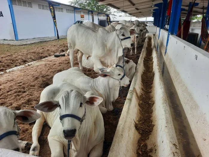 Foto: Reprodução/Secom Paraíba