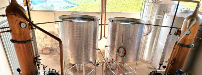 A pequena gigante das cachaças: Lamim, na Zona da Mata mineira, lidera ranking nacional de cachaçarias por habitante