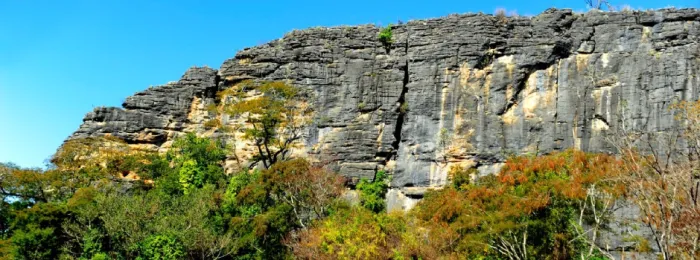 Desmatamento no Cerrado de Minas Gerais cai 34% e estado supera média nacional na redução dos alertas