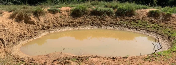 Minas Gerais consolida protagonismo nacional com novo Programa Produtor de Água