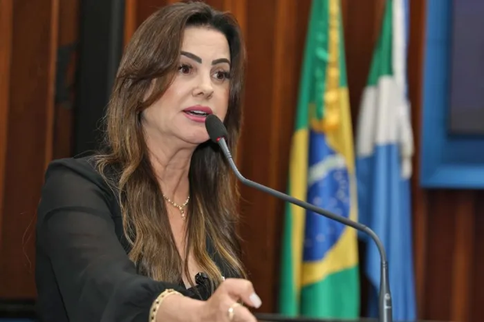 Deputada defendeu o fortalecimento dos conselhos tutelares para o enfrentamento a esse tipo de crime