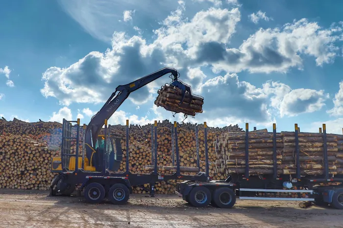 Foto: José Fernando Ogura/Arquivo AEN