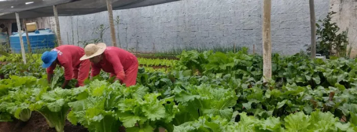 Presídio de Turmalina alcança mais de 85% dos presos em atividades de estudo e trabalho para ressocialização