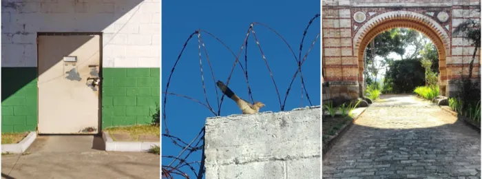 Adolescentes do Centro Socioeducativo de Juiz de Fora produzem fotos e participam de exposição em festival internacional