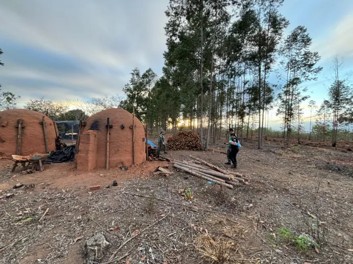 Operação conjunta mira crimes ambientais no Vale do Jequitinhonha