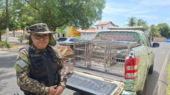 Foto: Reprodução/Secom Piauí