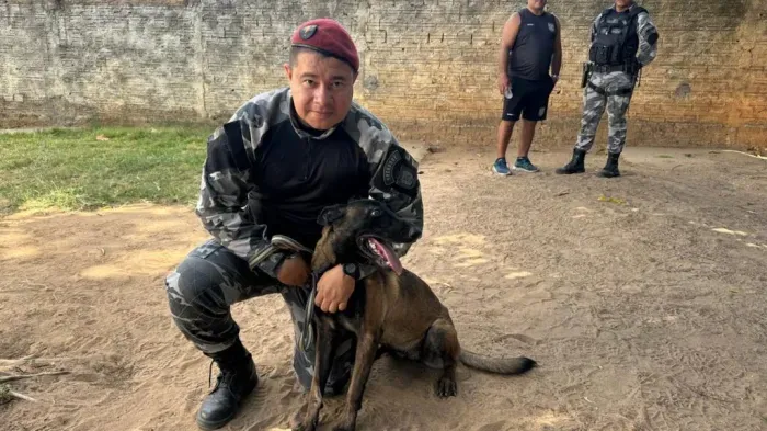 Foto: Reprodução/Secom Piauí