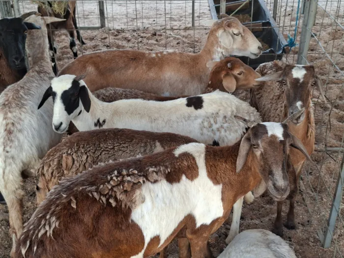 Foto: Reprodução/Secom Paraíba